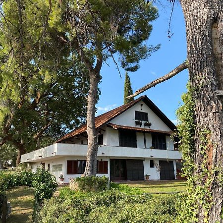 קריופיגי Wild Oaks Cottage מראה חיצוני תמונה