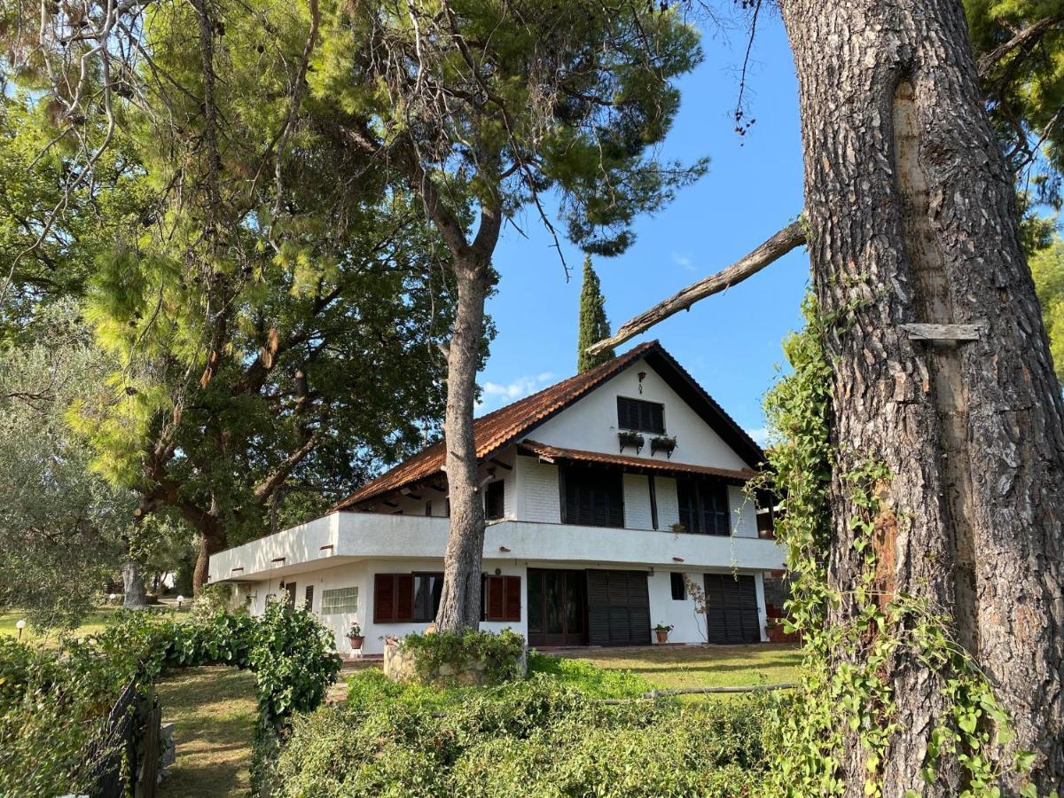 קריופיגי Wild Oaks Cottage מראה חיצוני תמונה