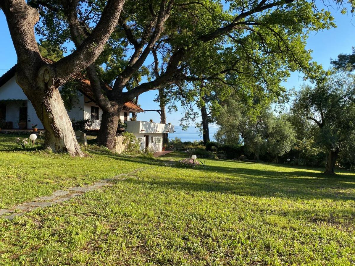 קריופיגי Wild Oaks Cottage מראה חיצוני תמונה