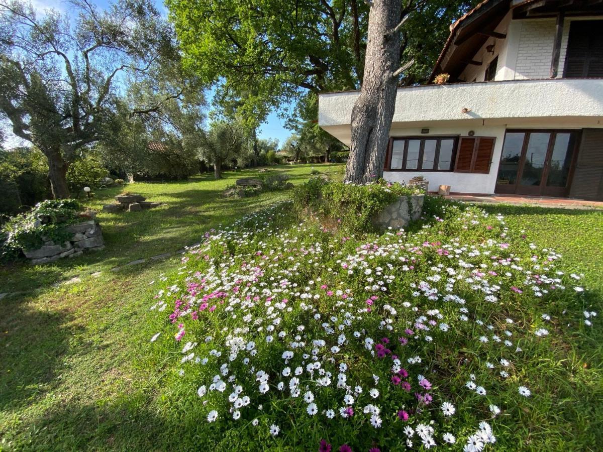 קריופיגי Wild Oaks Cottage מראה חיצוני תמונה