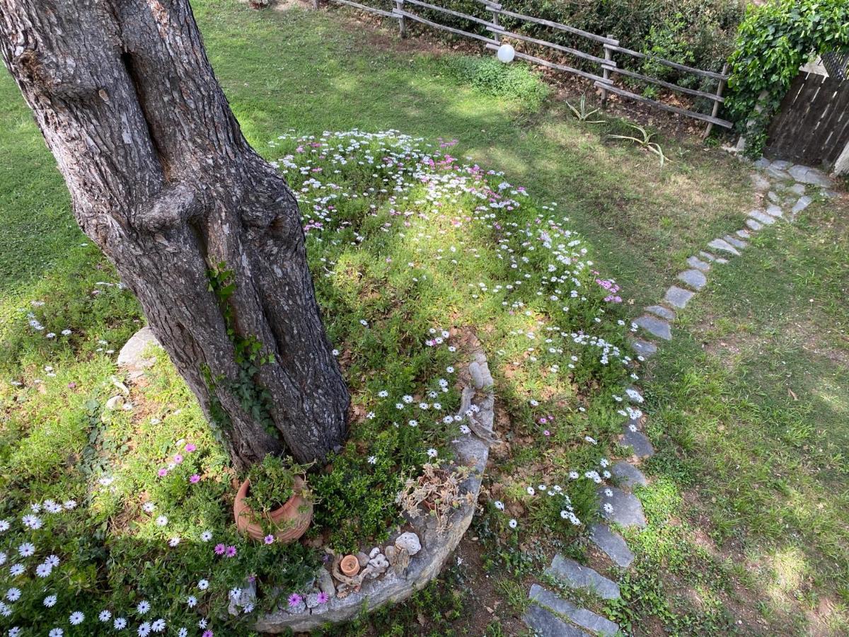 קריופיגי Wild Oaks Cottage מראה חיצוני תמונה