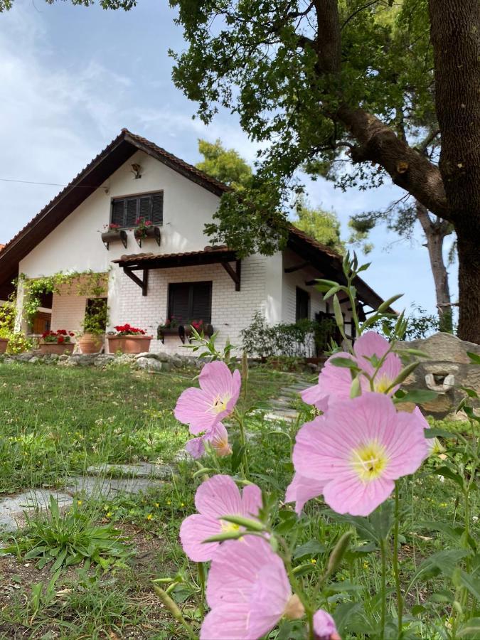 קריופיגי Wild Oaks Cottage מראה חיצוני תמונה