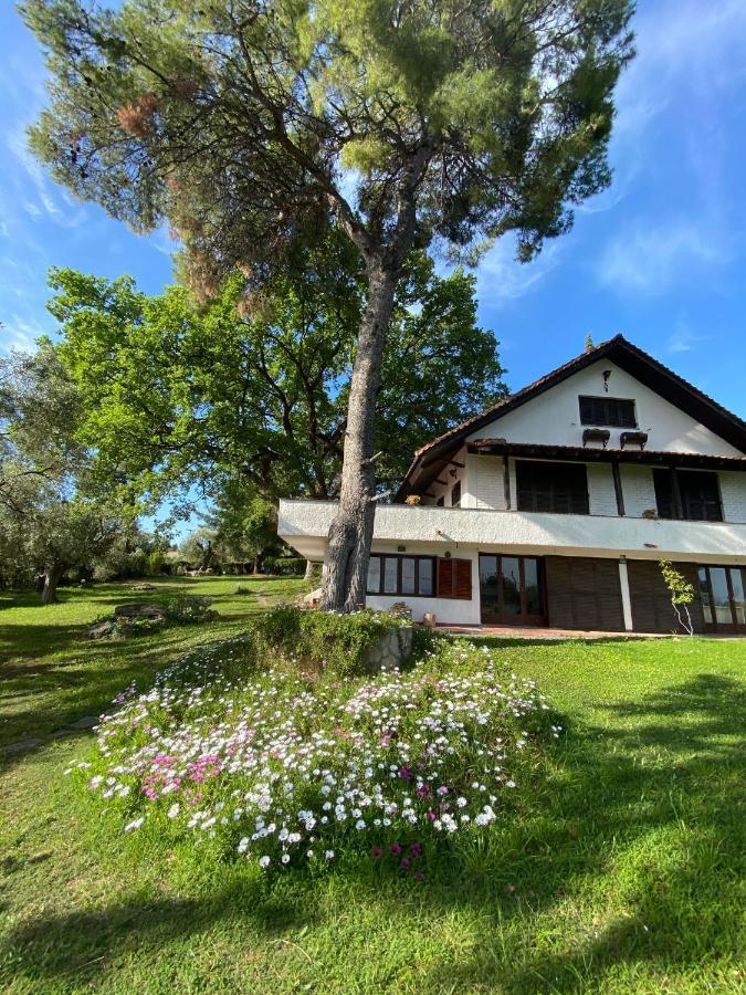 קריופיגי Wild Oaks Cottage מראה חיצוני תמונה