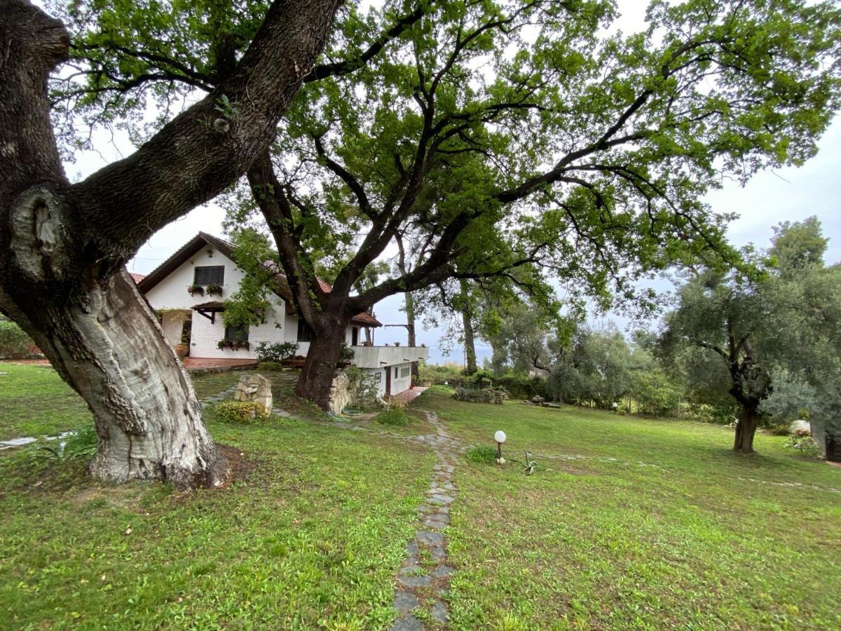 קריופיגי Wild Oaks Cottage מראה חיצוני תמונה