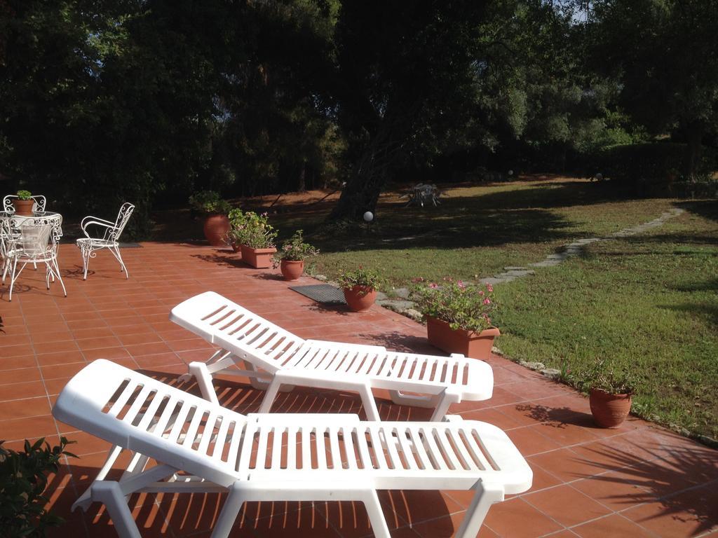קריופיגי Wild Oaks Cottage מראה חיצוני תמונה